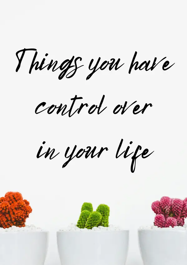 50 Significant things you can control in life right now